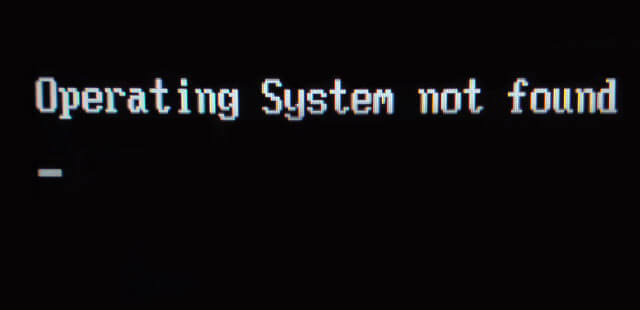Operating system not found что делать