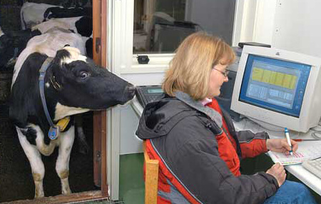 Компьютер для дойки коров