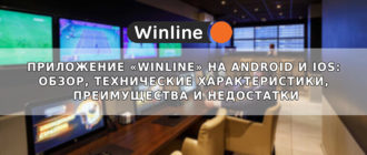 Приложение Winline на Android и iOS: обзор