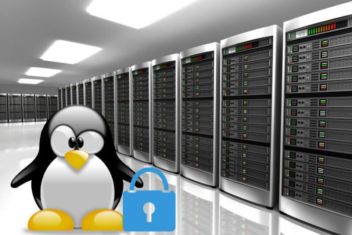 Linux Server VS Windows Server